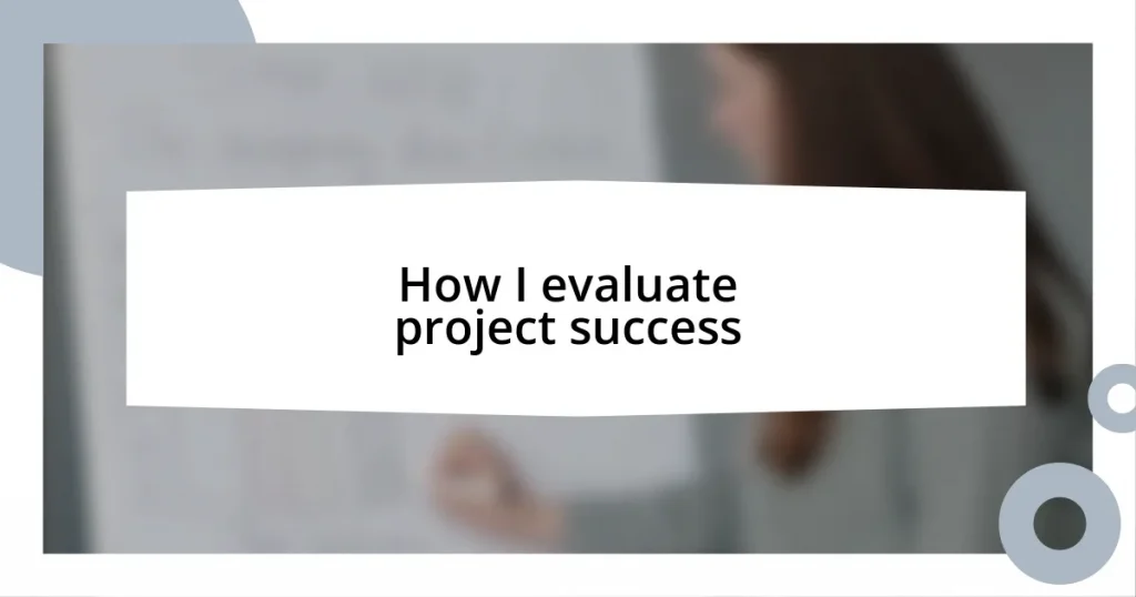 How I evaluate project success
