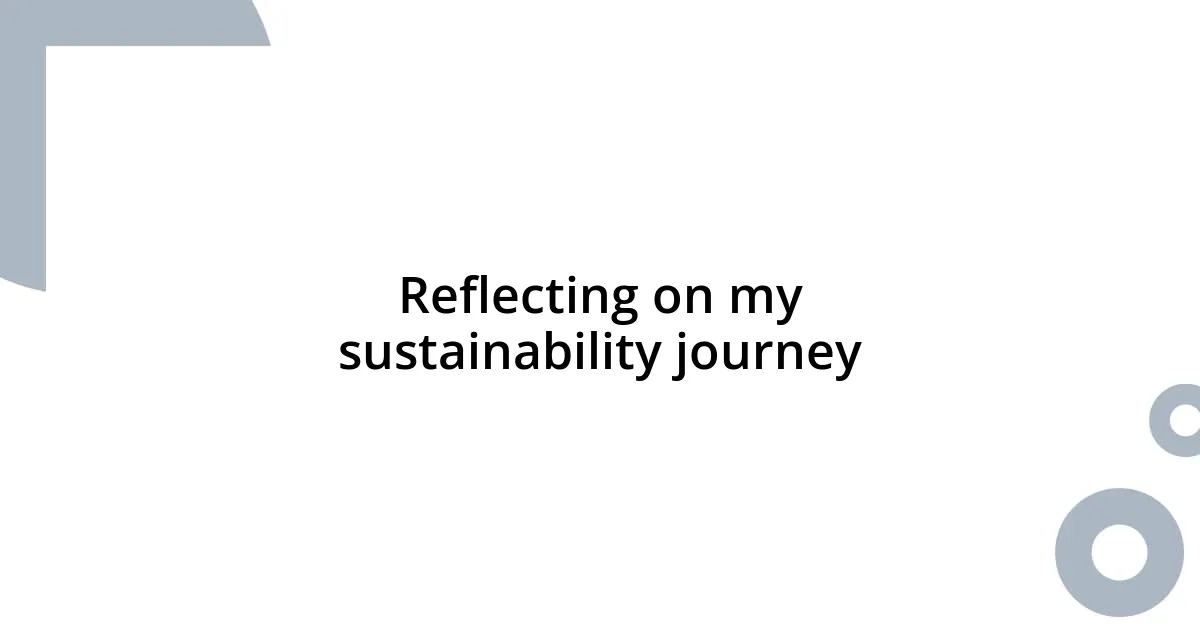 Reflecting on my sustainability journey
